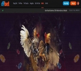 Khám phá những điều thú vị về đá gà D9bet