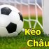 Cách chơi bài tấn dễ hiểu nhất cho người chơi tham khảo