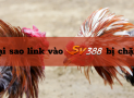Link vào sv388 – Bật mí cách truy cập vào sv388 không bị chặn hiệu quả nhất hiện nay