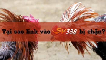 Link vào sv388 – Bật mí cách truy cập vào sv388 không bị chặn hiệu quả nhất hiện nay